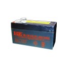 Acumulator plumb-acid, 12V, 1,3A - 113582