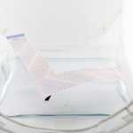 Cablu LVDS BN96-39820B, Samsung UE49MU6440U, D200108