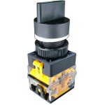 Comutator 2 pozitii, 10A, 380V, doua perechi contacte - 125067 Comutator 2 pozitii, 10A, 380V, doua perechi contacte - 125067