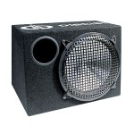 Subwoofer activ, 250mm, 100W, P1007A, Dibeisi - 200552