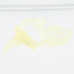 Suport distribuitor apa, MS-0A01354, Krups EA8038, D000775