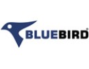 Bluebird