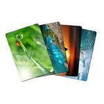 Mouse Pad, 200x240x3mm, diverse imagini - 401078 Mouse Pad, 200x240x3mm, diverse imagini - 401078