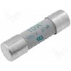 Siguranta pentru instrumente de masura, FLUKE - FP100