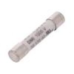 Siguranta pentru instrumente de masura, SCHÜTZINGER - SICH 6.35X32 100V 1.6 A DMI