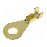 Terminal inelar, 4CARMEDIA