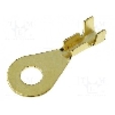 Terminal inelar, 4CARMEDIA