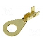 Terminal inelar, 4CARMEDIA