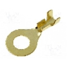 Terminal inelar, 4CARMEDIA