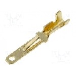 Terminal plat, 4CARMEDIA