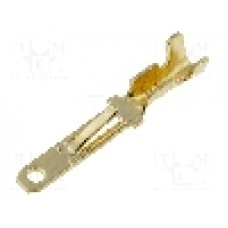 Terminal plat, 4CARMEDIA