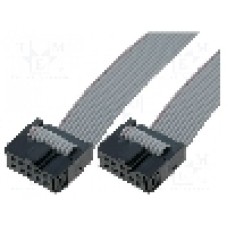 Cablu de conectare, KAMAMI - CAB/IDC10FF-100