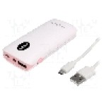 Acumulator {{Dimensiune celula}}, {{Tensiune nominala}}, 4000mAh, powerbank, LOGILINK - PA0126P