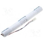 Acumulator R20, 6V, 4000mAh, Ni-Cd, CELLEVIA BATTERIES - 