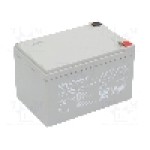 Acumulator plumb-acid, 12V, 14Ah, QOLTEC - 53045