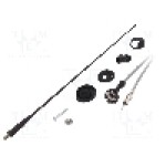 Antena, AM, FM, Citroën, Fiat, Peugeot, Renault, lungime 0.41m, cablu 2.7m - 7657016 Antena, AM, FM, Citroën, Fiat, Peugeot, Renault, lungime 0.41m, cablu 2.7m - 7657016