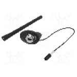 Antena, Alfa Romeo, Fiat, lungime 0.175m, cablu 0.3m - 