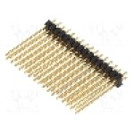 Conector 32 pini, seria {{Serie conector}}, pas pini 2.54mm, FISCHER ELEKTRONIK - SL22.265.32G