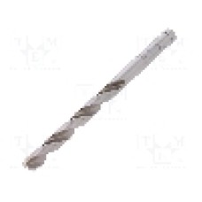 Burghiu pentru metal, 6mm, HSS, lungime 93mm, ALPEN-MAYKESTAG - 0095400600100