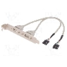Cablu conector 5pin x2, USB A soclu x2, braţara pe slot, USB 2.0, lungime 250mm, bej, ASSMANN - AK-300301-002-E