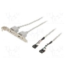 Cablu conector 5pin x2, USB A soclu x2, braţara pe slot, lungime 1m, {{Culoare izolaţie}}, BQ CABLE - AK674 1M