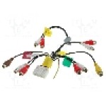 Cablu conectare Pioneer, conector RCA, 24 pini 