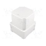 Carcasa ABS, 116mmx116mmx133mm, IP66, SCHNEIDER ELECTRIC - NSYTBS111113H