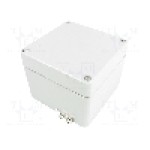 Carcasa aluminiu, 100mmx100mmx81mm, IP66, RAYCHEM RPG - EX RJ09