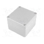 Carcasa poliester, 160mmx160mmx91mm, IP66, BOPLA - 04330000