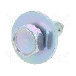 şurub, 10buc., pentru Audi, BMW, Chevrolet, Daewoo, Ford, Mercedes, Opel, Seat, Skoda, VW, OEM 07119916967, 1470997, 311826143 - 45168