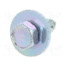 şurub, 10buc., pentru Audi, BMW, Chevrolet, Daewoo, Ford, Mercedes, Opel, Seat, Skoda, VW, OEM 07119916967, 1470997, 311826143 - 45168