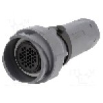 Conector circular, mama, 32 pini, BULGIN - PXP7011/32S/CR/0911