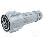 Conector circular, mama, 7 pini, BULGIN - EXP-0911/07/S Conector circular, mama, 7 pini, BULGIN - EXP-0911/07/S
