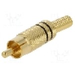 Conector RCA, tata, LUMBERG - 1573 01 V SCHWARZ