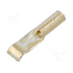 Conector alimentare DC, 0,6kV, {{Numarul de pini}} pini, seria {{Seria producatorului}}, {{Dimensiune pin}}. ANDERSON POWER PRODUCTS - 262G2-LPBK