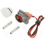 Conector alimentare DC, 1kV, 2 pini, seria {{Seria producatorului}}, {{Dimensiune pin}}. AMPHENOL GEC - PL082X-61-6-2