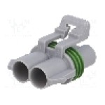 Conector auto, Ducon 6.3, 2 pini, APTIV - 12147067