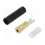 Conector jack, Jack 3,5mm, 3 contacte, mama, NEUTRIK - NYS240BG