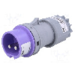 Conector alimentare AC, IEC 60309, IP44, 16A, 24V AC, 2 pini, PCE - 062V