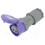 Conector alimentare AC, IEC 60309, IP44, 32A, 24V AC, 2 pini, PCE - 272V