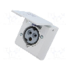 Conector alimentare AC, IEC 60309, IP44, {{Curent nominal}}, 0,25kV, 250V AC, 3 pini, AMPHENOL - 2CMA178698R1000