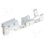 Conector semnal, {{Numarul de pini}} pini, pas 2.5mm, serie {{Serie conector}}, MOLEX - 50802-8100