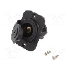 Adaptor soclu bricheta auto, conector plat 6,3mm, neagra, SCI - A13-142AP-BB3 Adaptor soclu bricheta auto, conector plat 6,3mm, neagra, SCI - A13-142AP-BB3