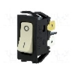 Intrerupator OFF-ON, 2 pozitii, DPST, BULGIN - C1250APBG133B