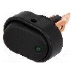 Intrerupator OFF-ON, 2 pozitii, SPST, SCI - R13-133L-01-BBG-L-1 Intrerupator OFF-ON, 2 pozitii, SPST, SCI - R13-133L-01-BBG-L-1