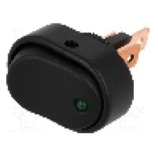 Intrerupator OFF-ON, 2 pozitii, SPST, SCI - R13-133L-01-BBG-L-1 Intrerupator OFF-ON, 2 pozitii, SPST, SCI - R13-133L-01-BBG-L-1