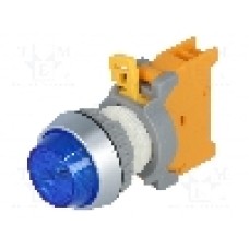 Lumina de control, AUSPICIOUS - PLN22A BL W/0 LAMP