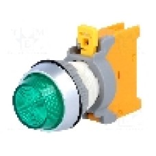 Lumina de control, AUSPICIOUS - PLN22A G W/0 LAMP