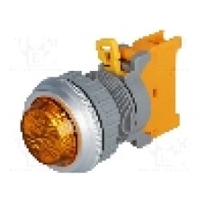 Lumina de control, AUSPICIOUS - PLN30A O W/O LAMP