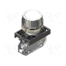 Lumina de control, PROMET - NEK22M-LDSB